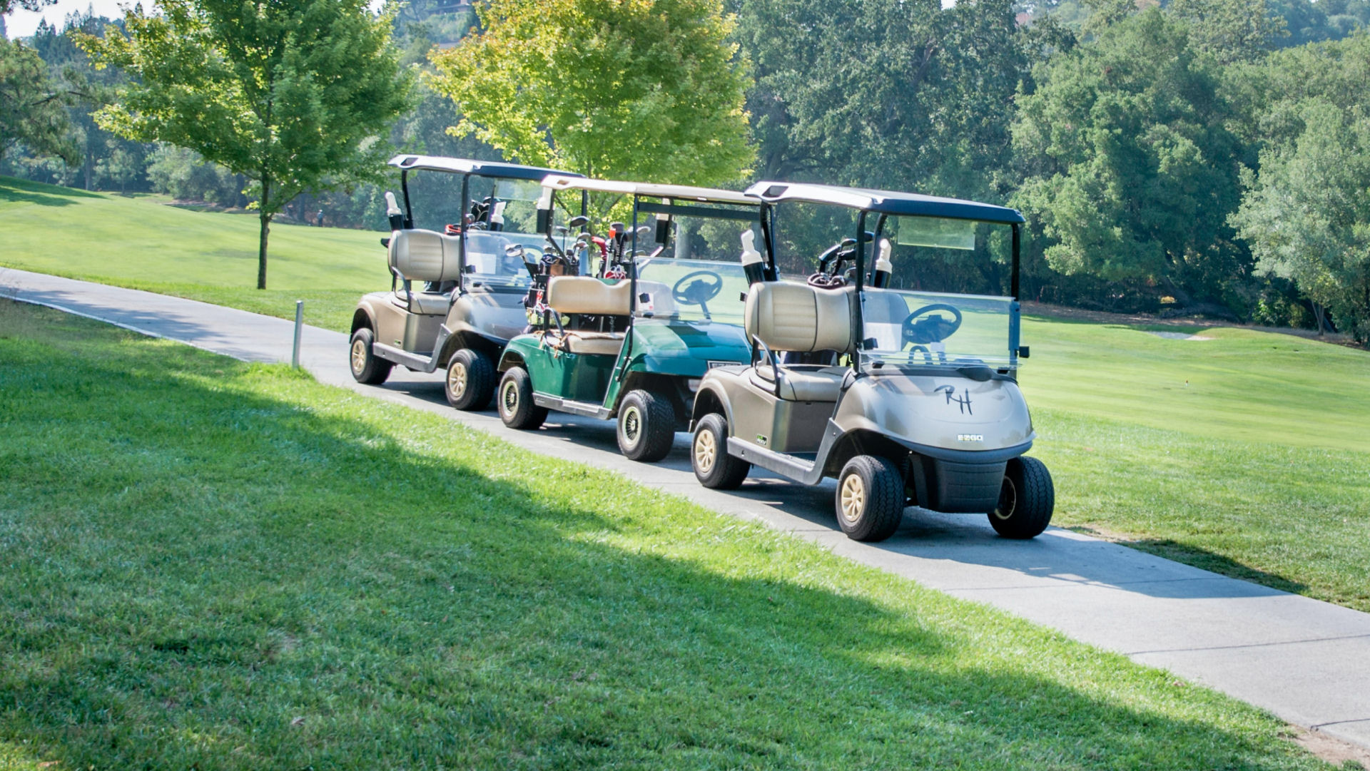 Economy Golf Carts